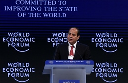 Một năm được - mất của Tổng thống Ai Cập
